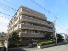 ライオンズヒルズ東寺尾
