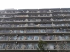 若葉グリーンプラザ弐番館