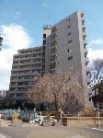 シャトレ明大前