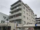 グリーンキャピタル亀戸水神
