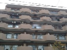 トーア平井マンション