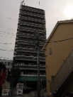 リファイズエクスクルーシブ