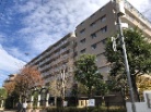 ルネサンヴェール小金井公園