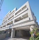 ���C�t���B�����q