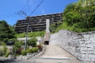 アデニウム鎌倉山