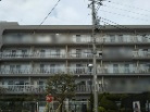 ルネ南市川
