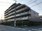 ライオンズマンション市川広尾