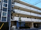 パークホームズ市川妙典X
