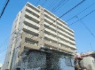 サンアリーナ相模原西門桜通り