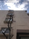 パークハイツ相模原