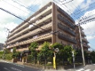 エクセル西船橋