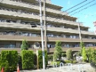 セントラルデュオ市が尾