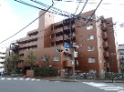 朝日鷺沼マンション