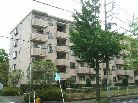 鷺沼ライラック
