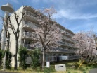 金沢八景クローバーハイツ