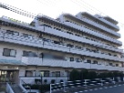 トーク湘南衣笠公園