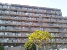iCXXe[WÓPu
