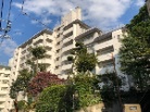 パシフィック中野