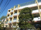 スターロワイヤル杉並高円寺