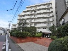 パシフィックニュー中野
