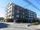 レクセル新越谷