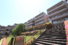 コスモ綱島台