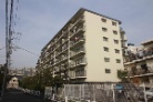 ライネスハイム綱島