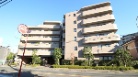 ネオステージ相模大野