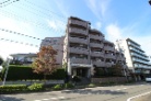 ライオンズガーデン相模大野