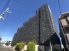 アデニウム町田