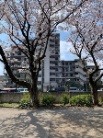 サンコート大野台