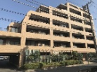セザール仲池上