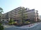 シャールレーク大井桜通り