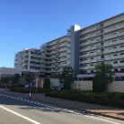D−triaアイリットスクエア