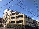 アデニウム洗足池南