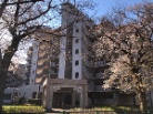 東急ドエルアルス津田沼東