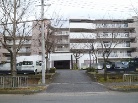 XeBr