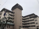 ルネ住吉川