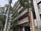 セレッソコート住吉本町