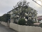 ファミーユ住吉牛神前