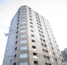 CIY{쏺a