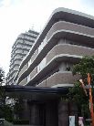ディオフェルティ粉浜