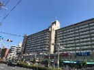 エバーグリーン住吉