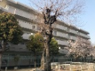 ハイム住之江