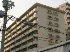 藤和南堀江コープ