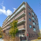 ���C�I���Y�b�z���O�����O���C�h