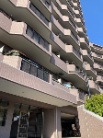 パインフィールド緑地公園