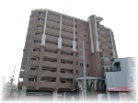 ドルフフェレジア夙川