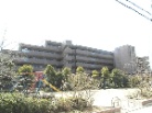 ブロド香櫨園