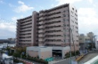 サンブロード香櫨園東海岸通り